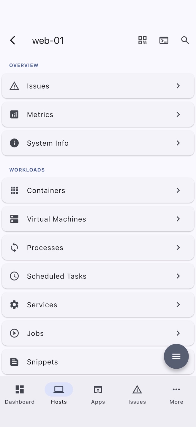 The host detail screen, listing a host's tools in sections: Overview, Workloads, Storage and Security.