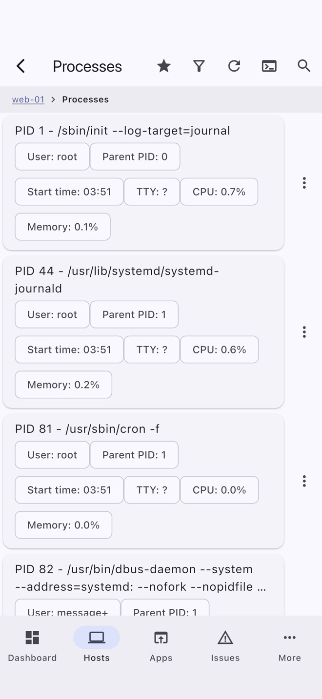 Processes: running processes with CPU and memory use.