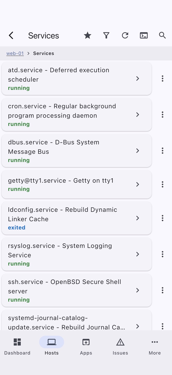 Services: systemd units with their state.