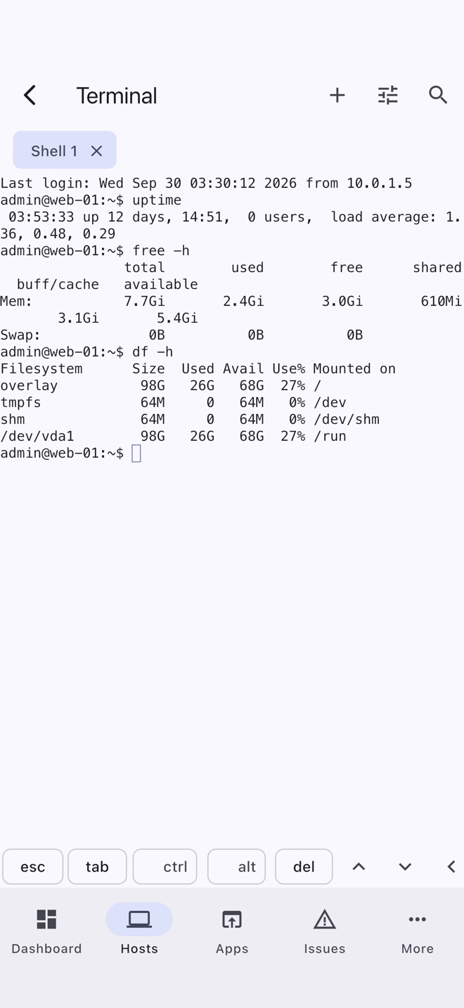 Terminal: a shell tab with uptime, free and df output, and a row of extra keys.